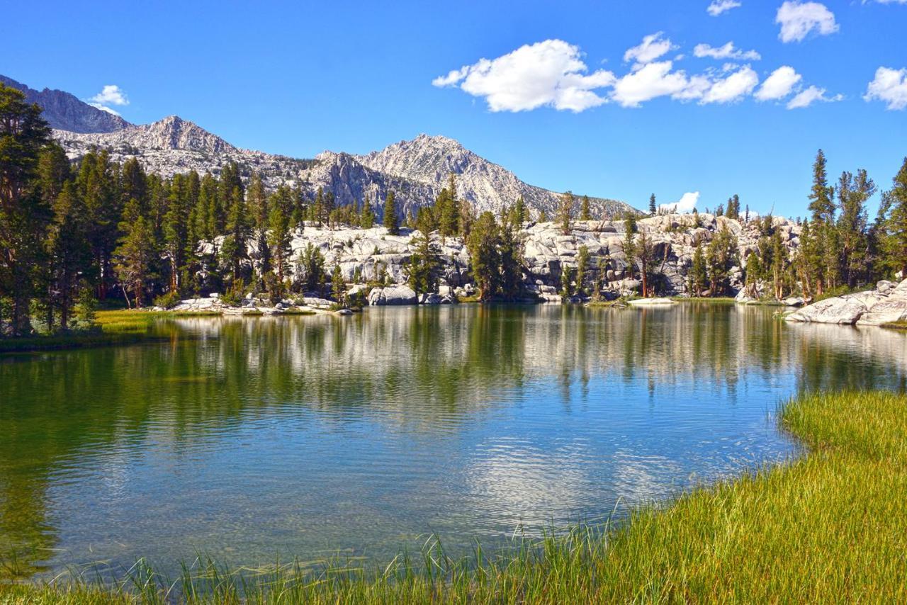 White Mountain Lodge #2329 Μαμούθ Λέικς Εξωτερικό φωτογραφία